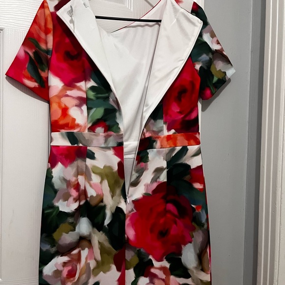 Floral Sheath Dress in Multi-Color - Picture 5 of 7